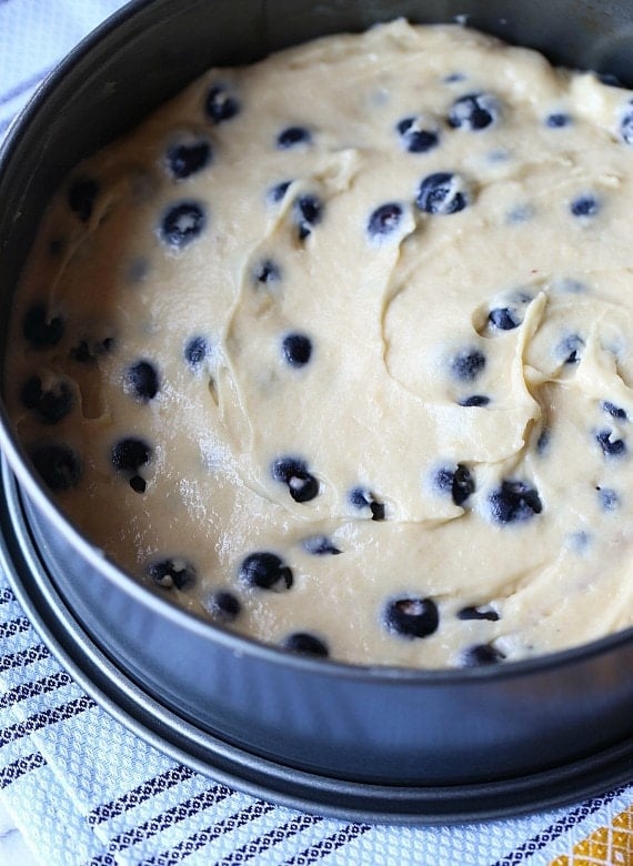 Blueberry Muffin Cake...such a simple batter!