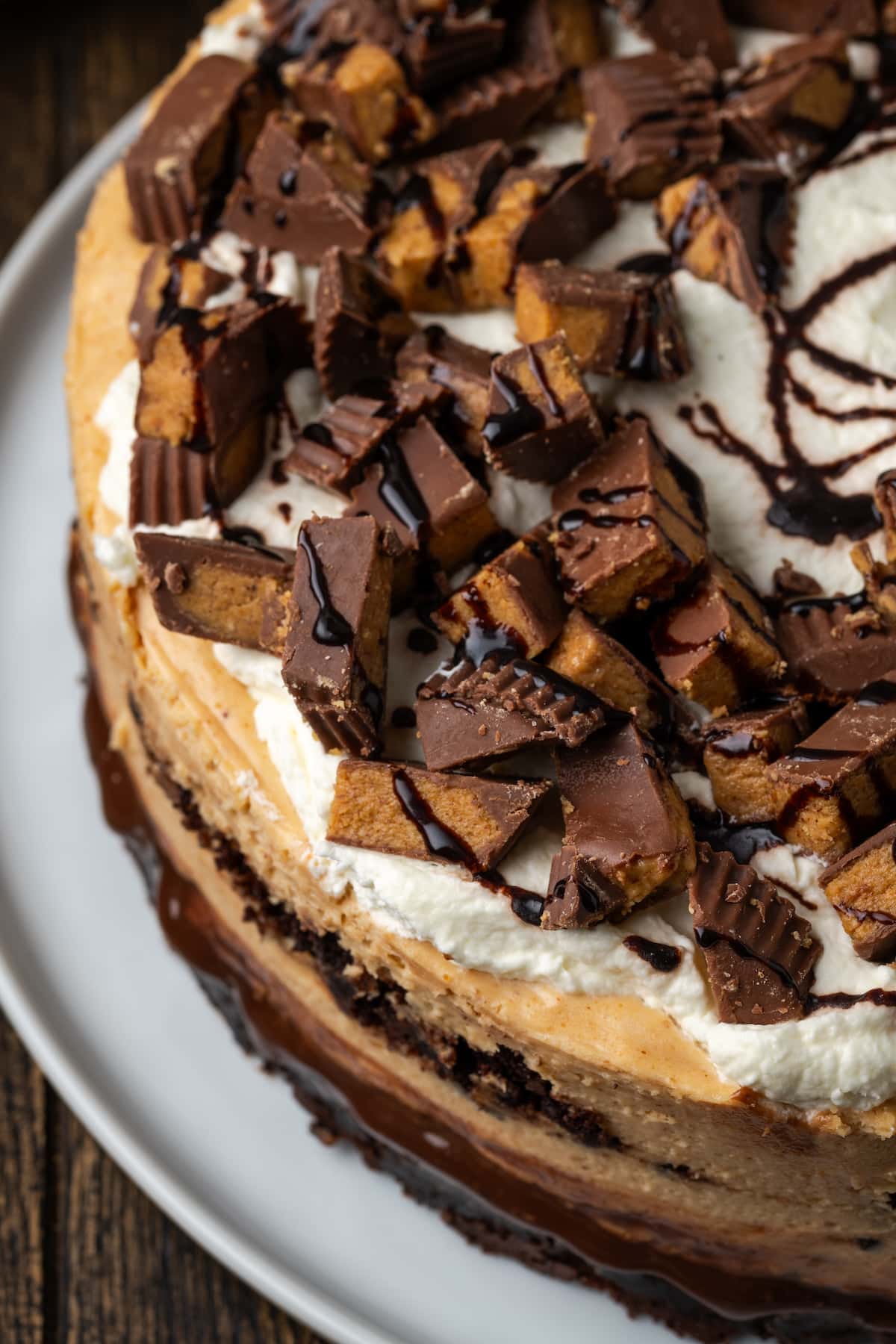 Overhead close up view of a finished brownie cheesecake topped with peanut butter cups and drizzled with fudge sauce on a white plate.