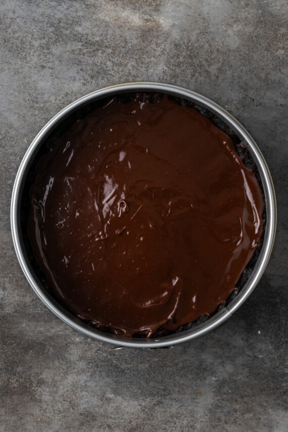 Brownie base topped with fudge sauce in a springform pan.