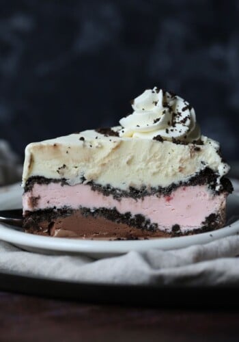 Neapolitan Ice Cream Cake served to eat