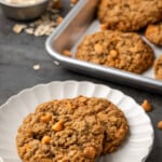 Two oatmeal butterscotch cookies on a white plate, with more cookies on a baking sheet in the background.