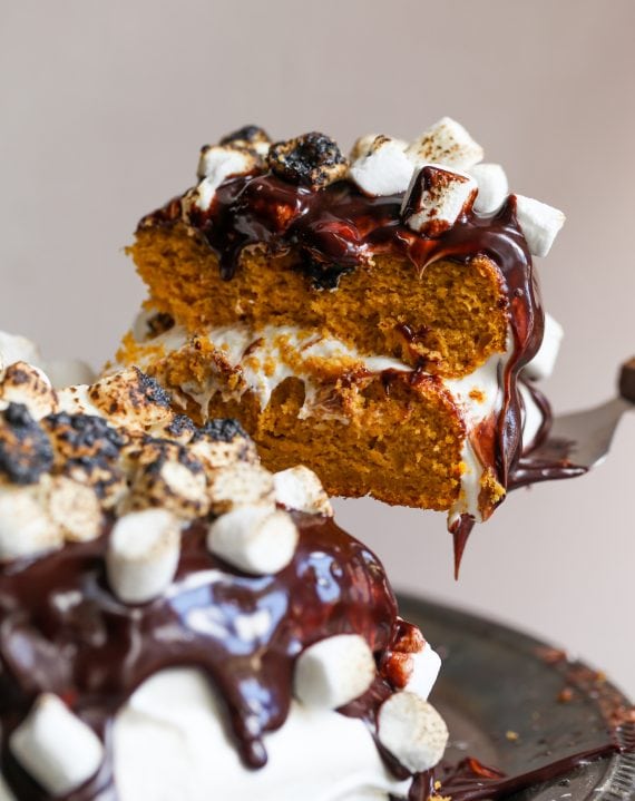 Pumpkin S'mores Cake